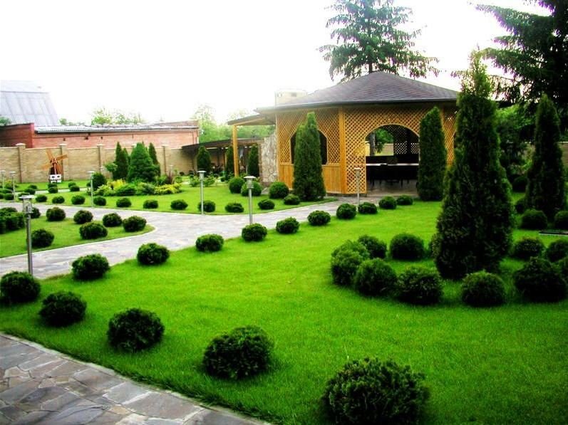 100+ Inspirasi Taman Minimalis Lahan Sempit Sederhana ...